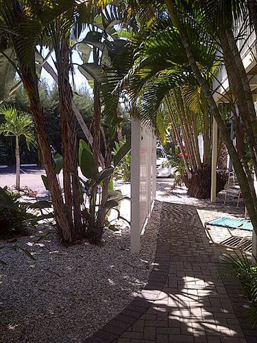 Coquina On The Beach Lido Key  Luaran gambar