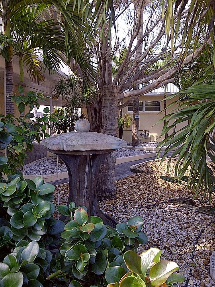 Coquina On The Beach Lido Key  Luaran gambar