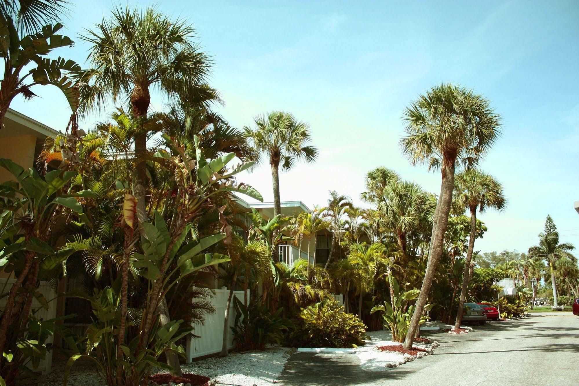 Coquina On The Beach Lido Key  Luaran gambar